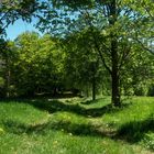 ein Stück Natur in der Oberpfalz