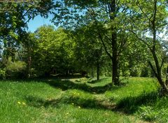 ein Stück Natur in der Oberpfalz