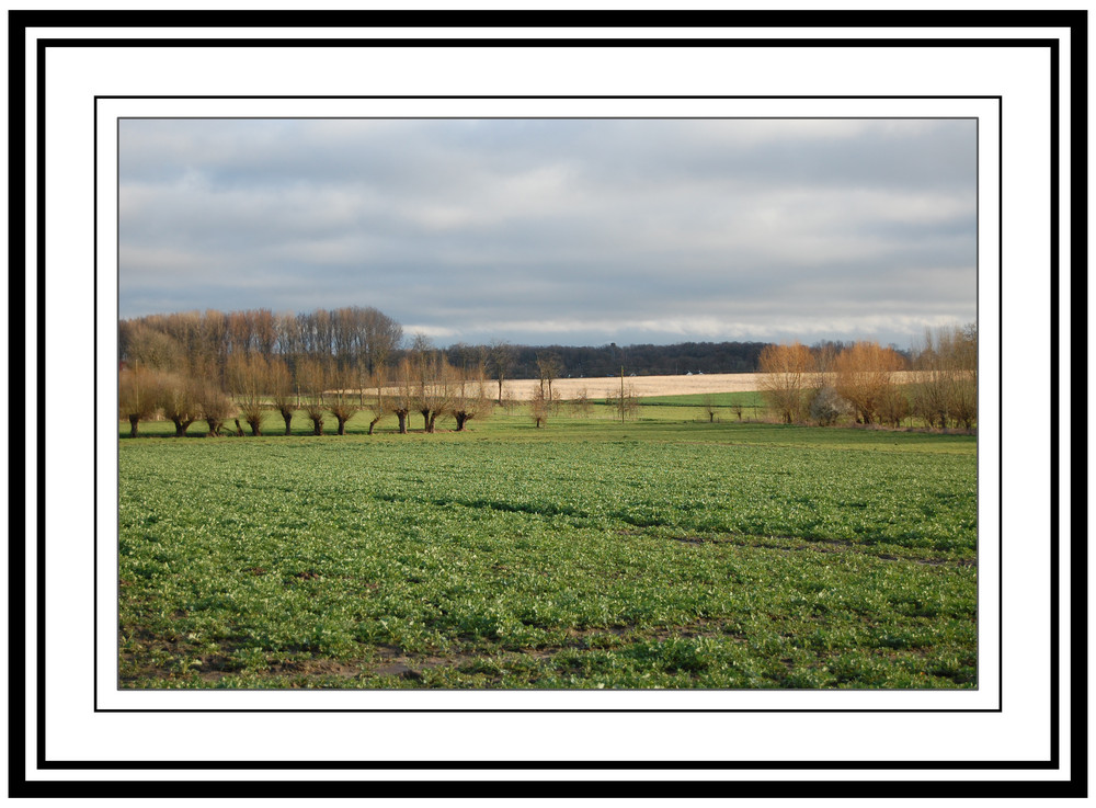 Ein Stück Natur in Münster