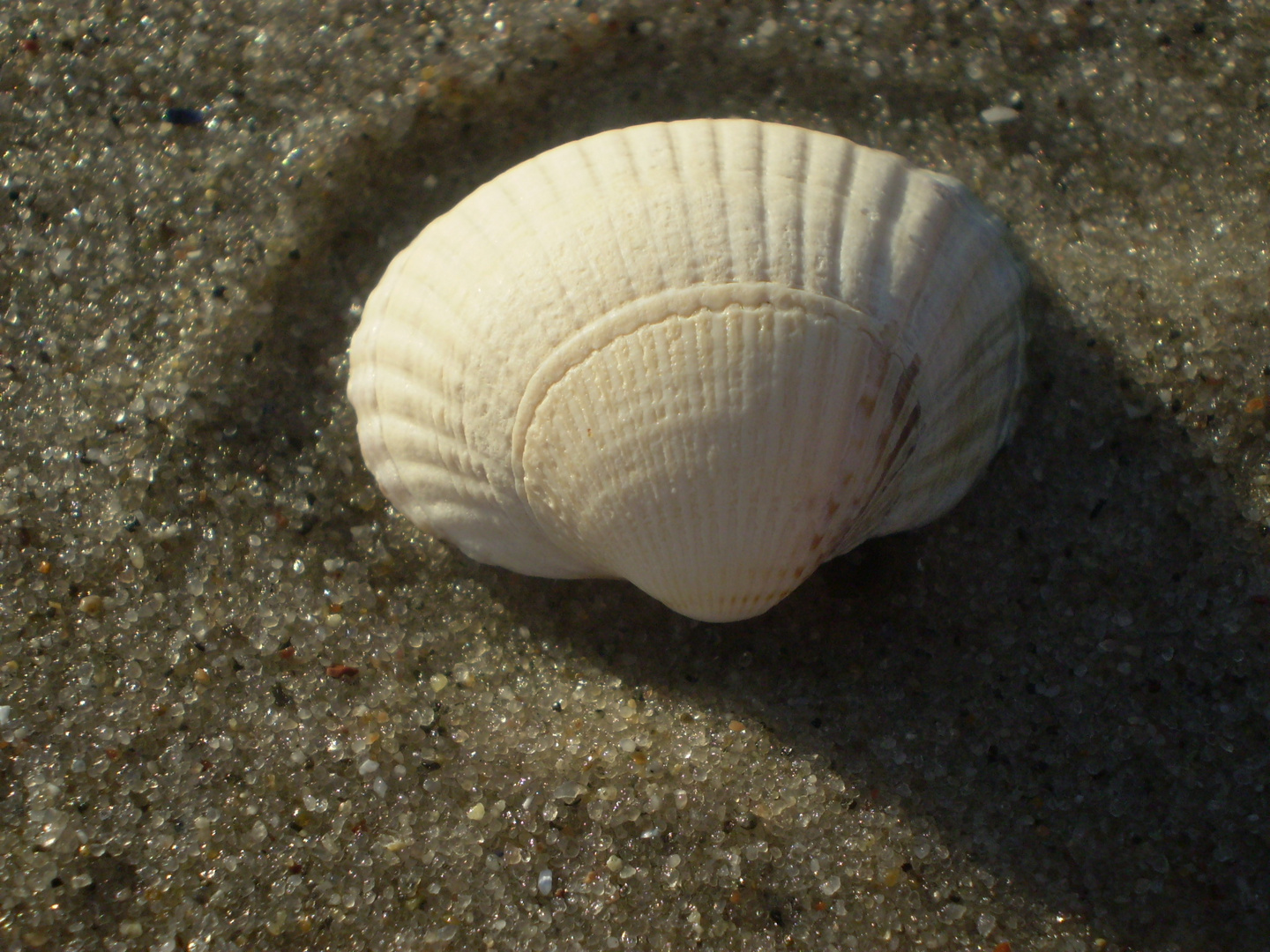 Ein Stück Ostsee