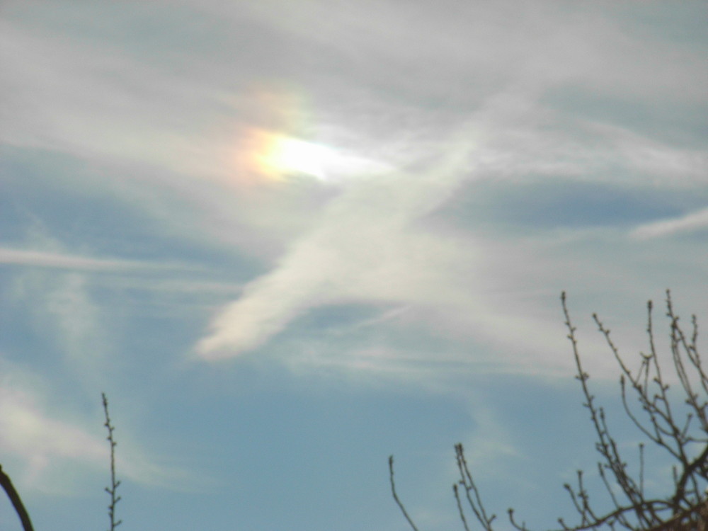 Ein Stück Regenbogen