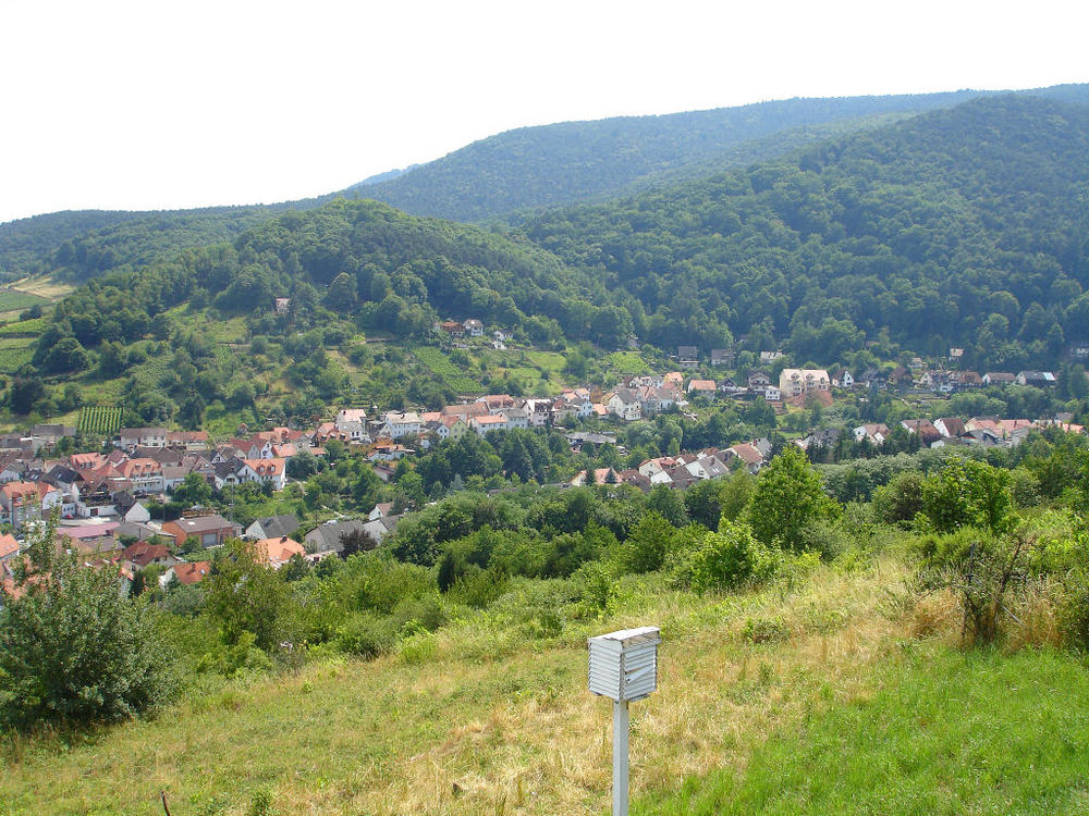 Ein Stück Rheinland Pfalz