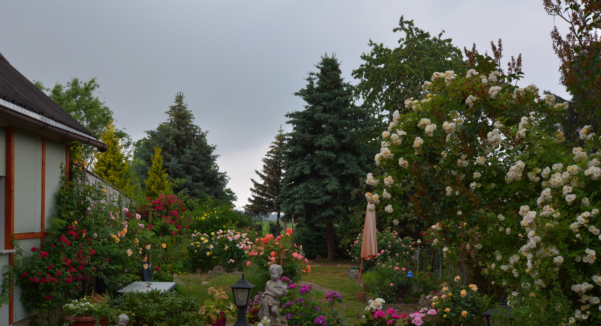 Ein Stück Rosengarten