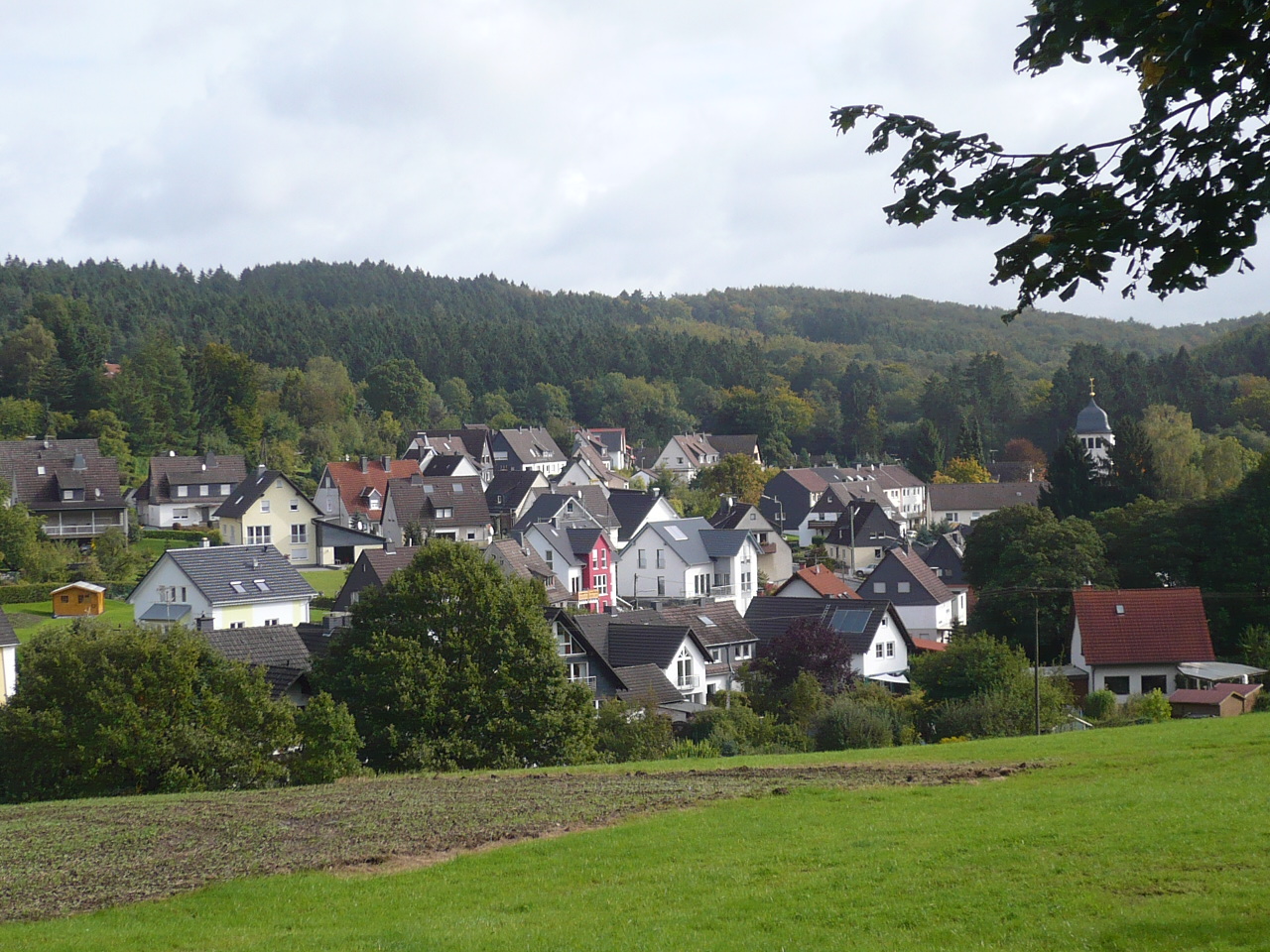 Ein Stück Sauerland Natur