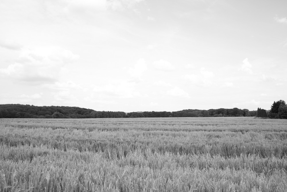 Ein Stück Spaziergang