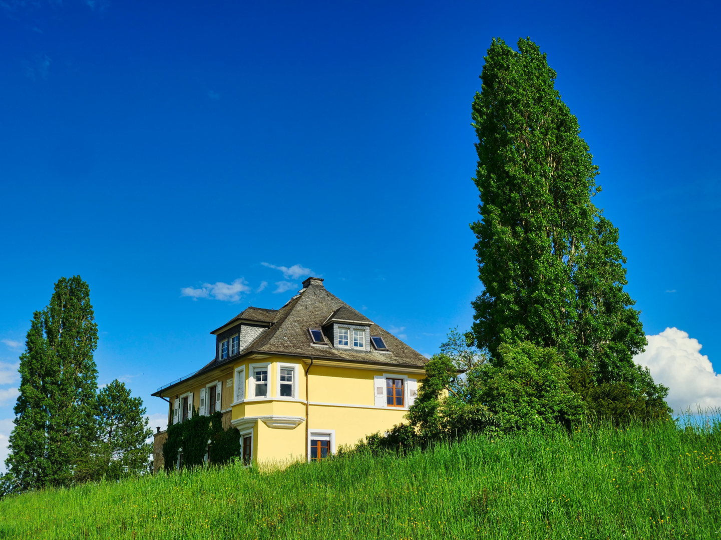 Ein Stück Toscana in Ingelheim