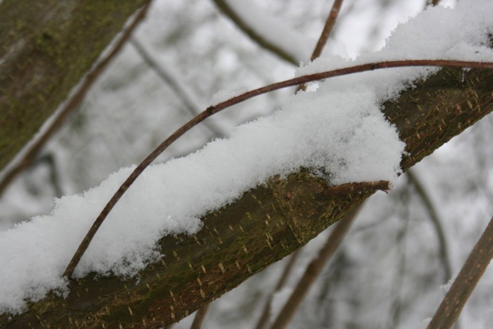 Ein Stück unberührte Natur