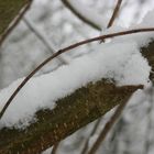 Ein Stück unberührte Natur