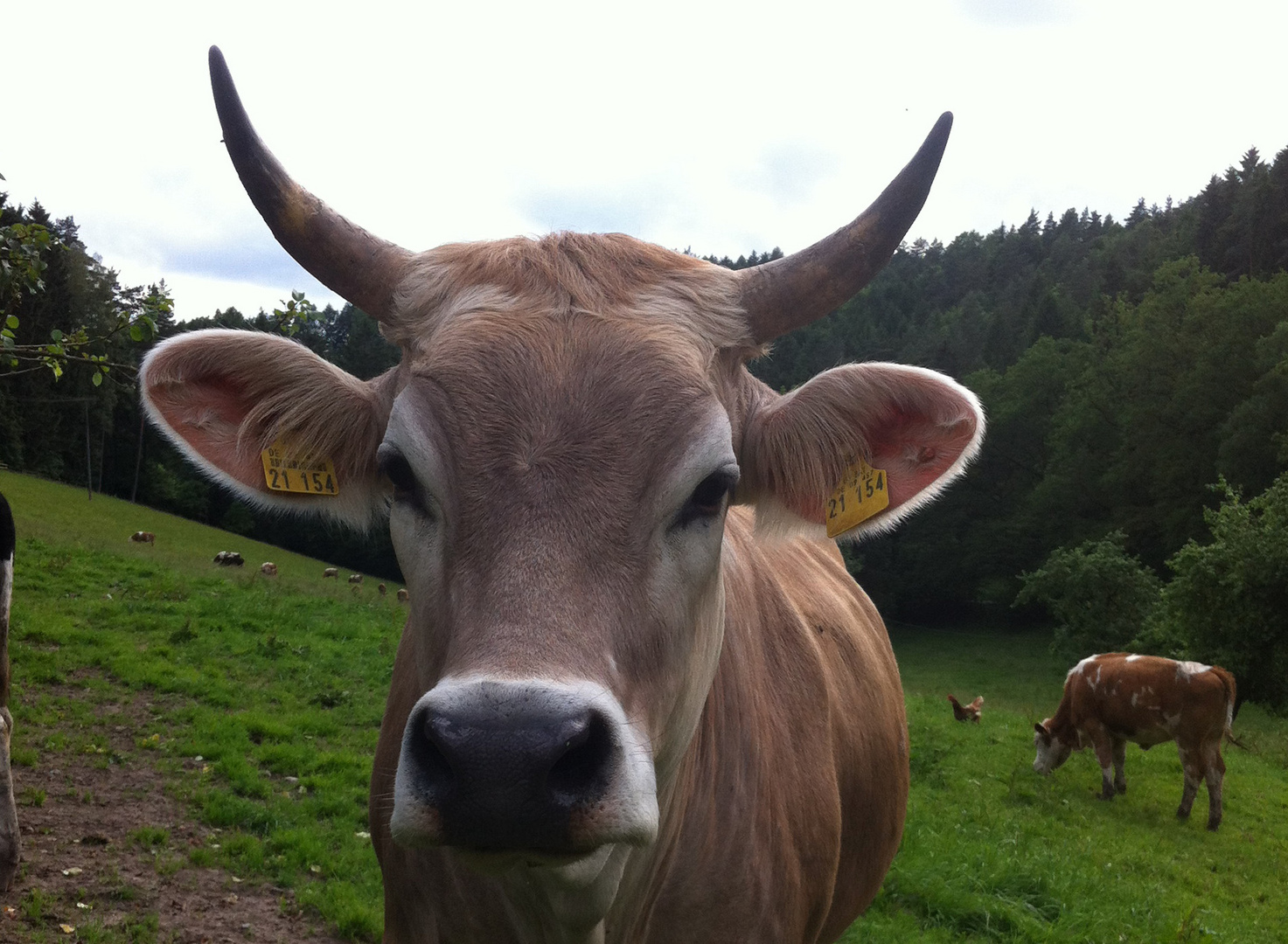 Ein stück urlaub zuhause