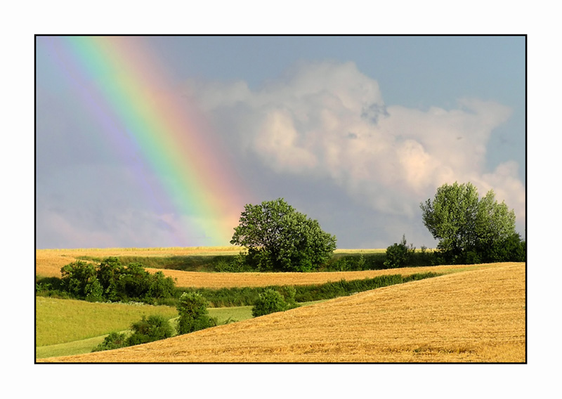 Ein Stück vom Ende des Regenbogens...