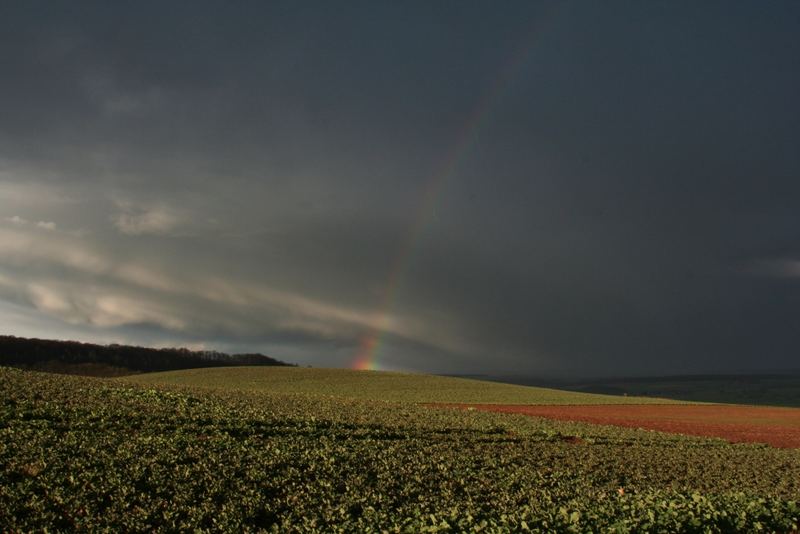 Ein Stück vom Himmel !