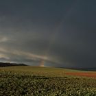 Ein Stück vom Himmel !