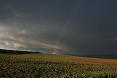 Ein Stück vom Himmel !