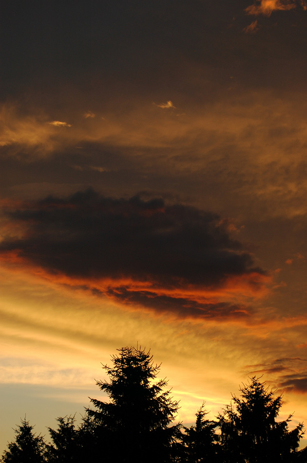 Ein Stück vom Himmel