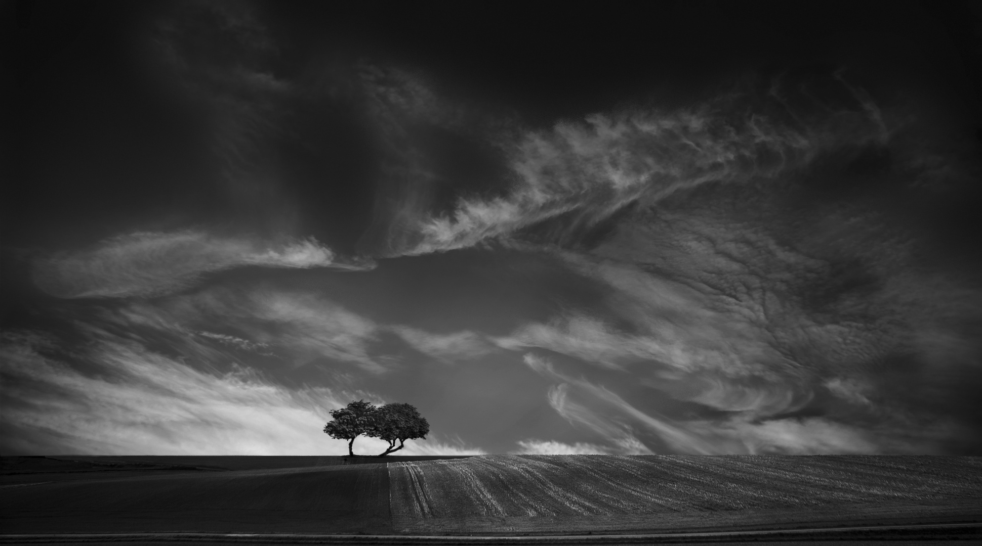 Ein Stück vom Himmel