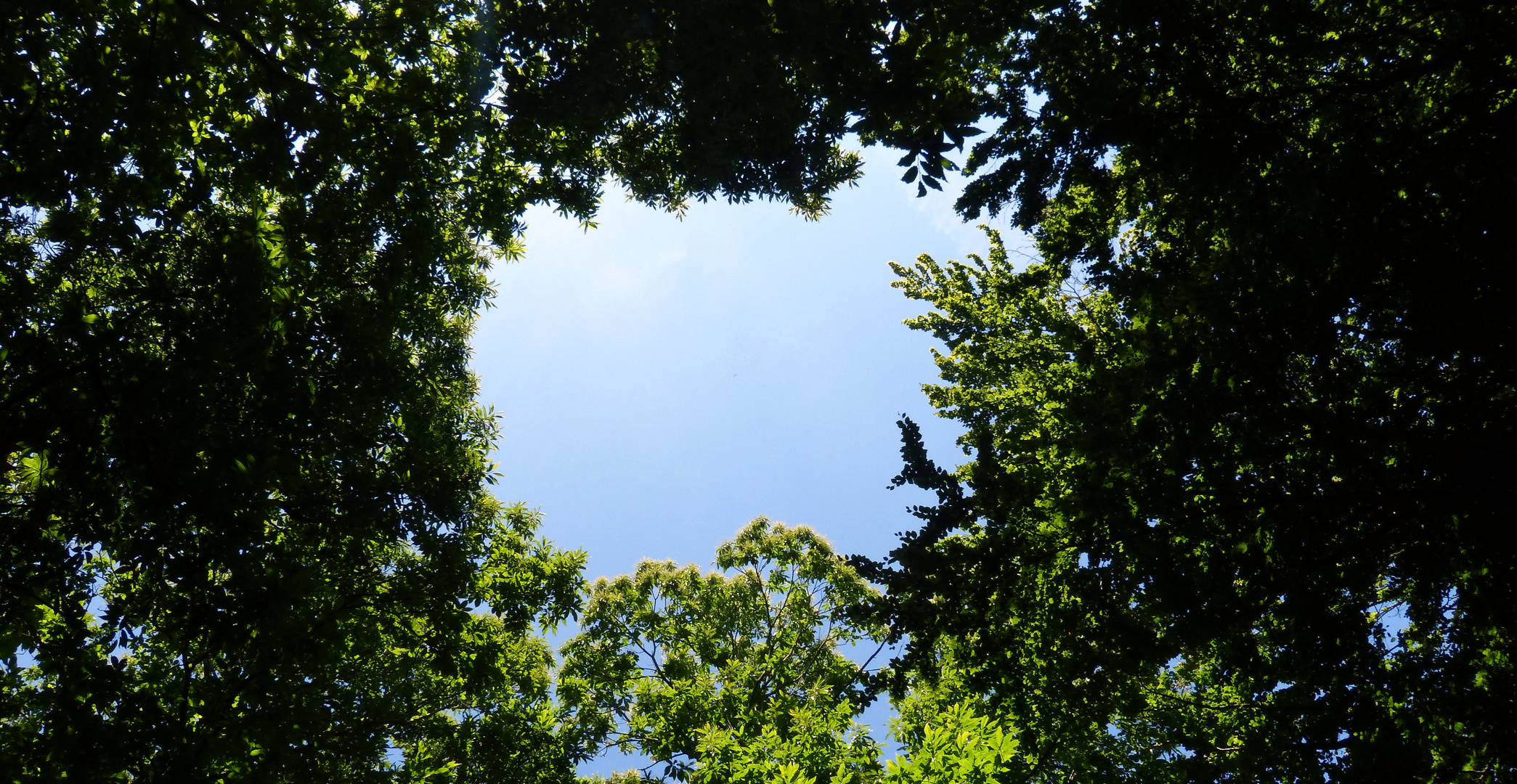 Ein Stück vom Himmel.....