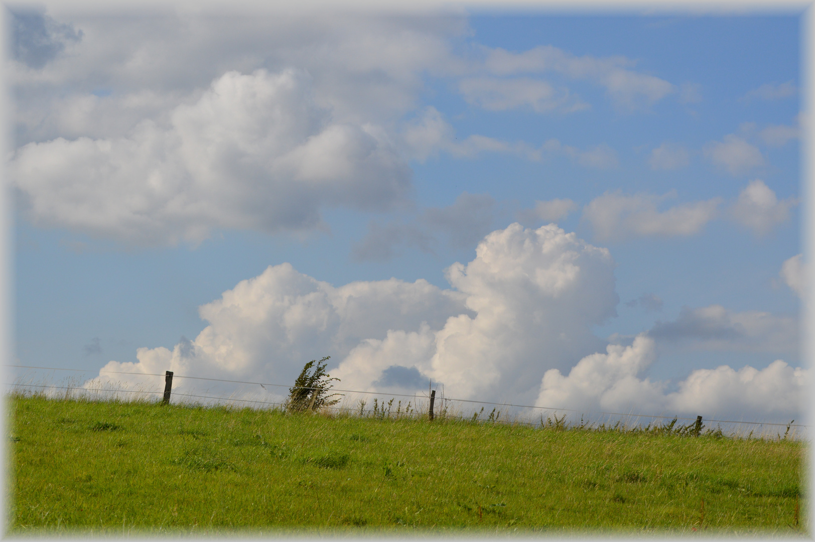 Ein Stück vom Himmel....