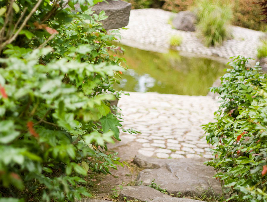 Ein Stück vom japanischen Garten in Bonn