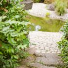 Ein Stück vom japanischen Garten in Bonn