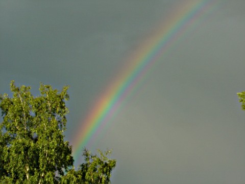 ....ein Stück vom Regenbogen!