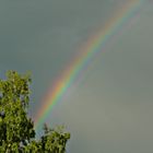 ....ein Stück vom Regenbogen!