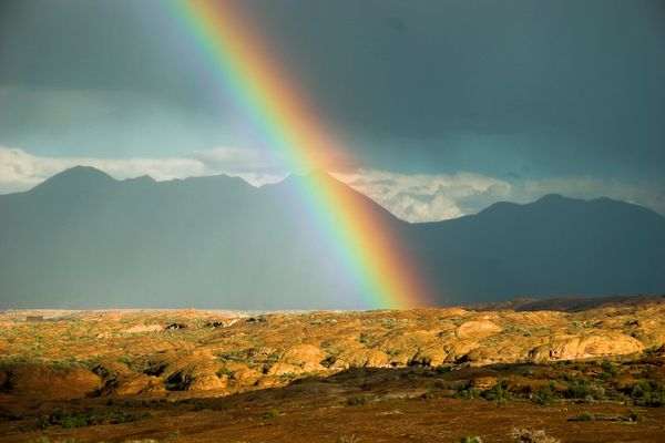 Ein Stück vom Regenbogen