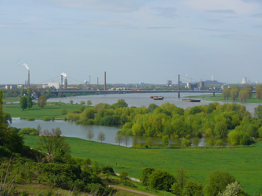 ein Stück vom Rhein