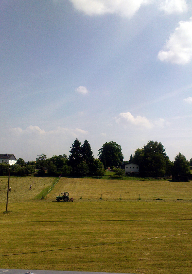 Ein Stück von Rheinland – Pfalz. Sommeranfang.