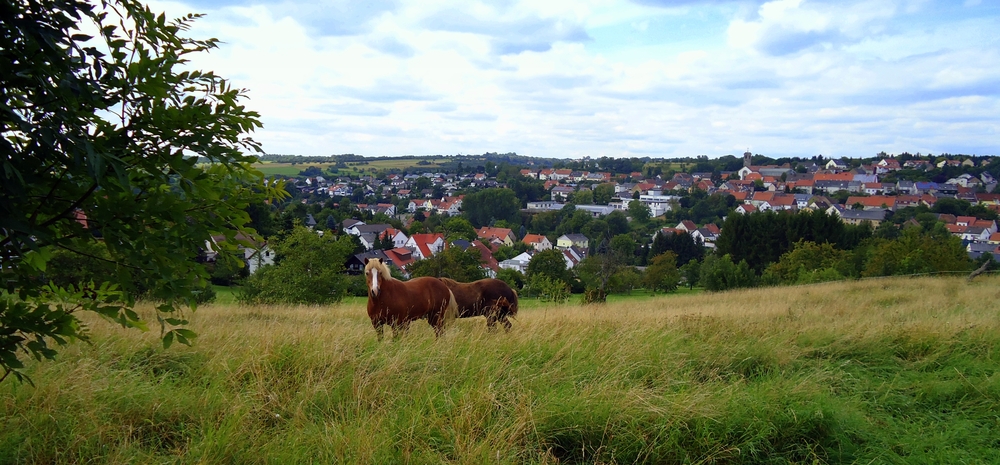 Ein Stückchen Heimat