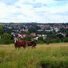 Ein Stückchen Heimat