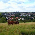 Ein Stückchen Heimat