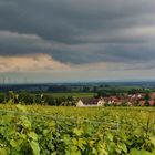 Ein Stückchen Heimat- die Rheinebene