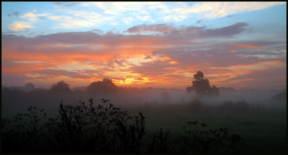 ...ein stückchen Heimat