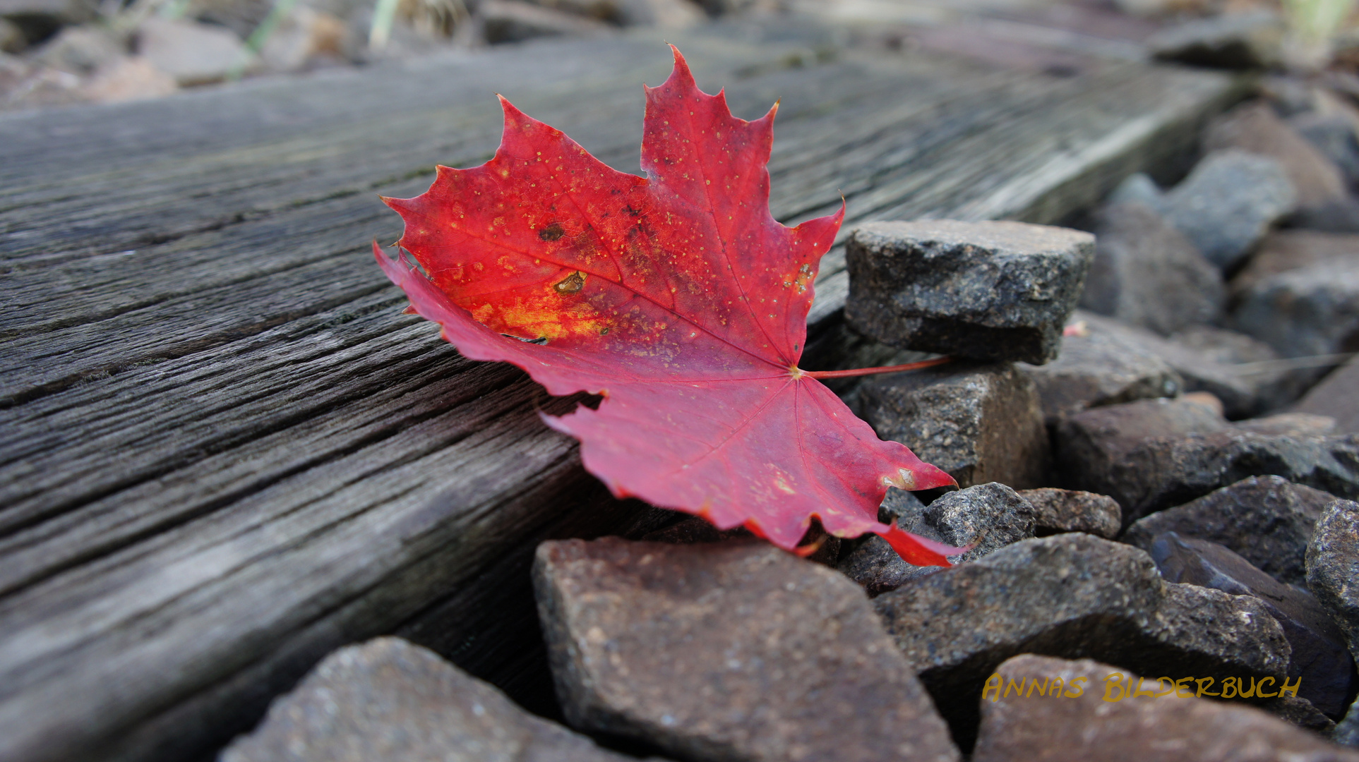 Ein Stückchen Herbst