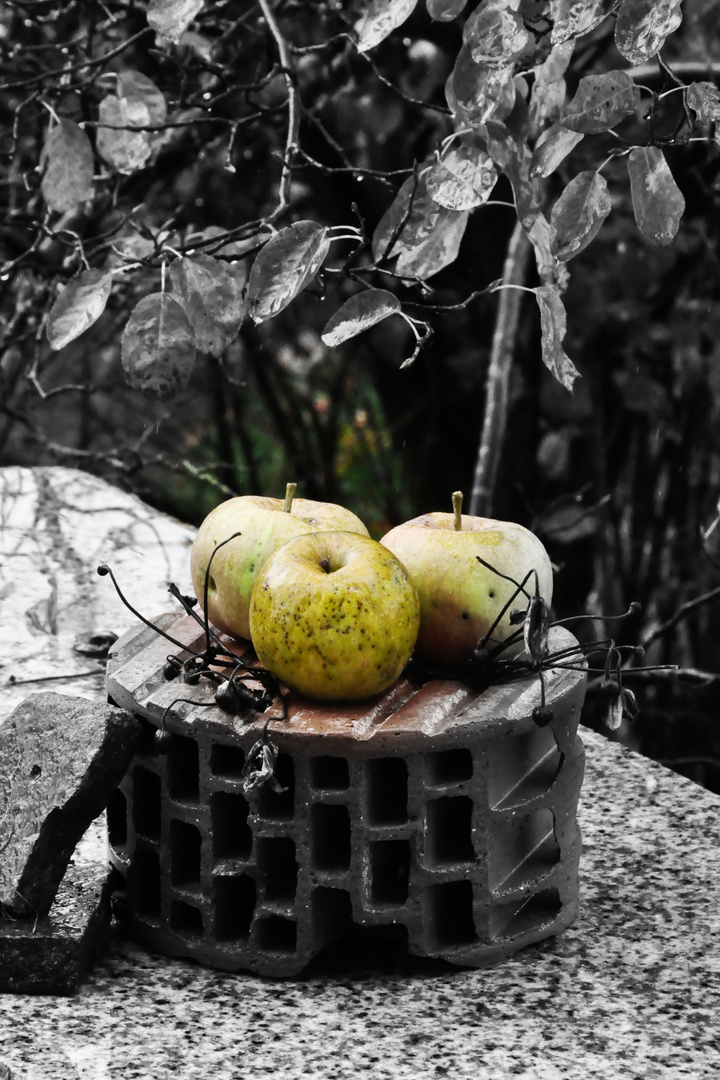 Ein Stückchen Herbst