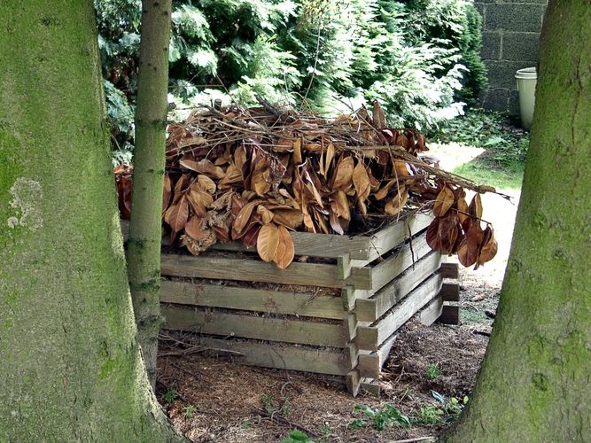 Ein Stückchen Natur