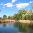 Ein "Stückchen" Natur:-)