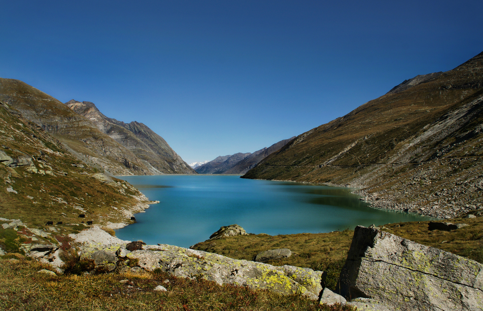 Ein Stückchen Paradies