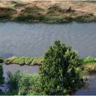 Ein Stückchen reine Natur