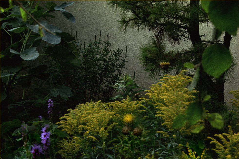 Ein Stückchen Sommergarten...