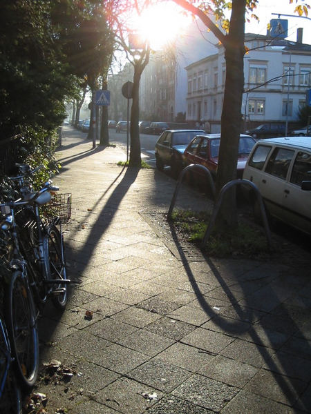 ein Stückchen Strasse vor meiner Haustür...