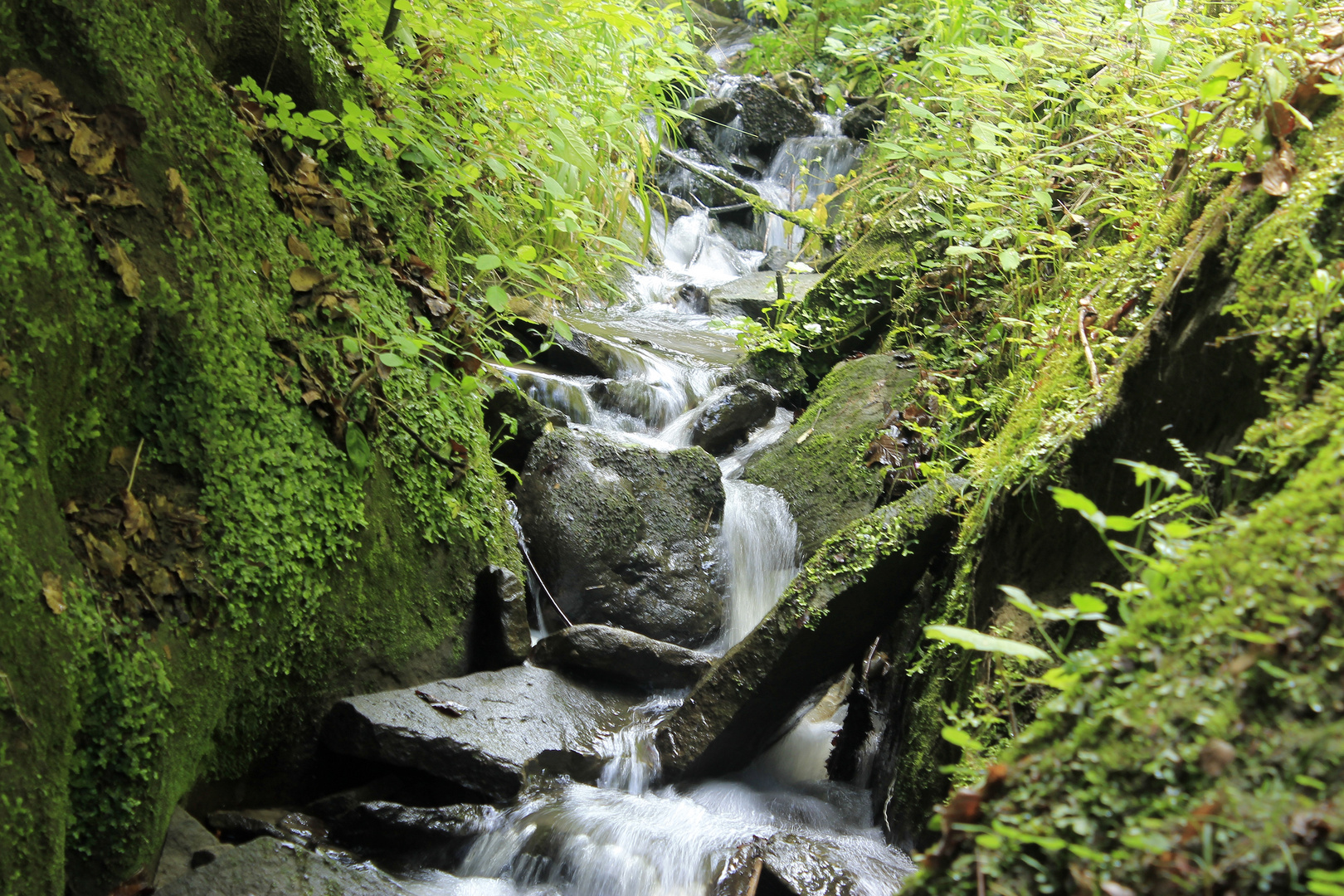 Ein stückchen unberührte Natur