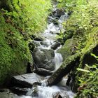 Ein stückchen unberührte Natur