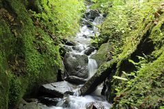 Ein stückchen unberührte Natur