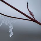 Ein Stückchen Winter