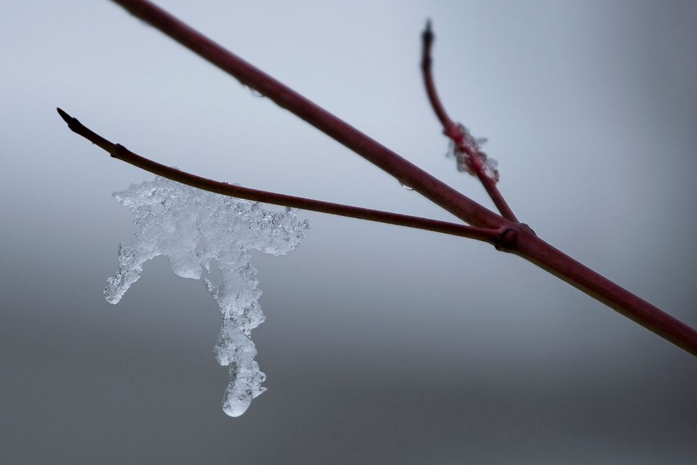 Ein Stückchen Winter