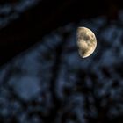 Ein Stückerl Mond
