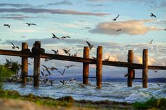 Ein stürmischer Bodensee Anfang Oktober 