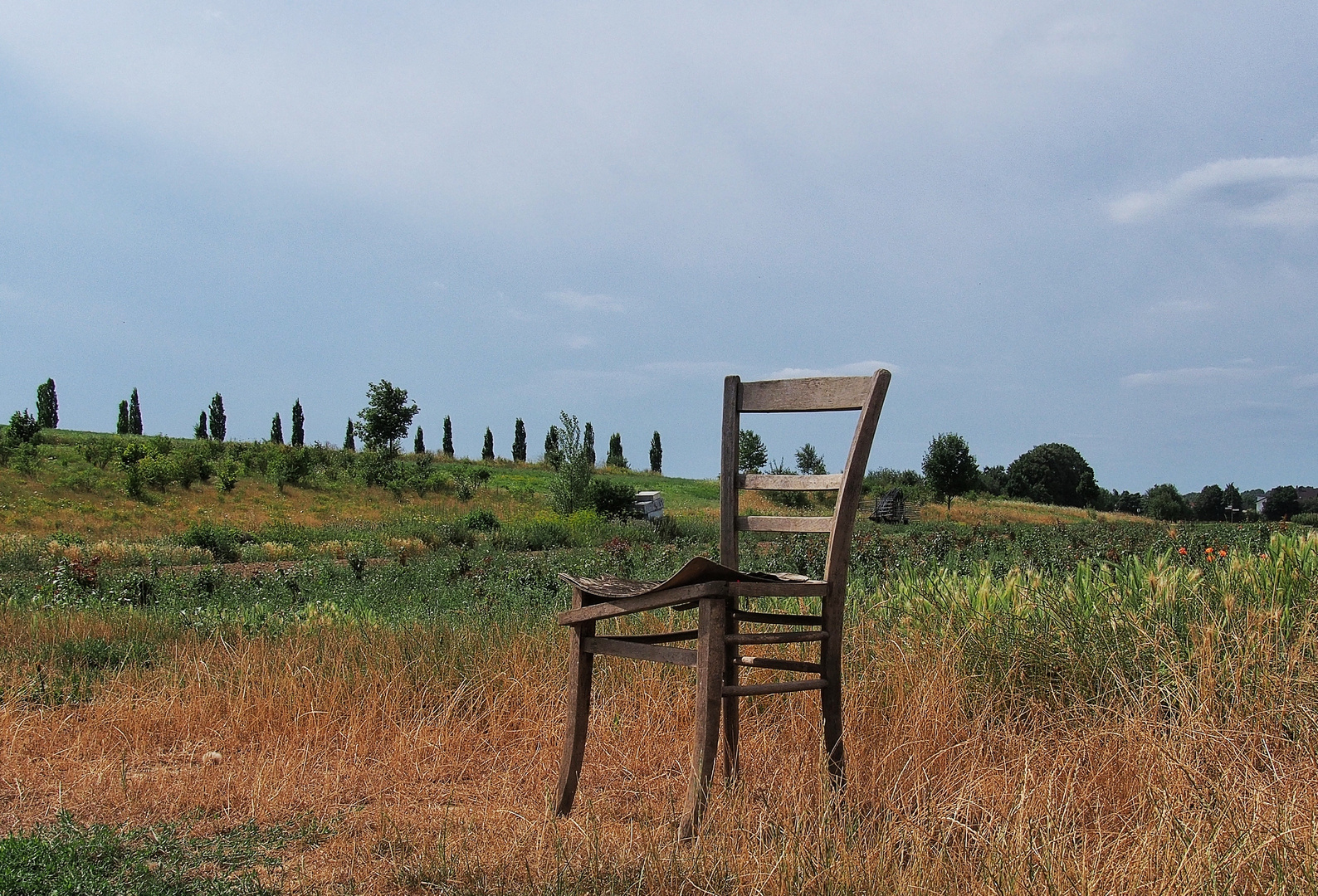 - Ein Stuhl im Feld -