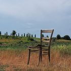 - Ein Stuhl im Feld -